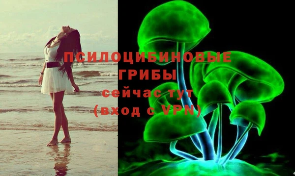 дживик Абаза