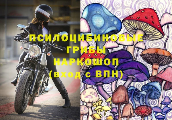 ПСИЛОЦИБИНОВЫЕ ГРИБЫ Алексин