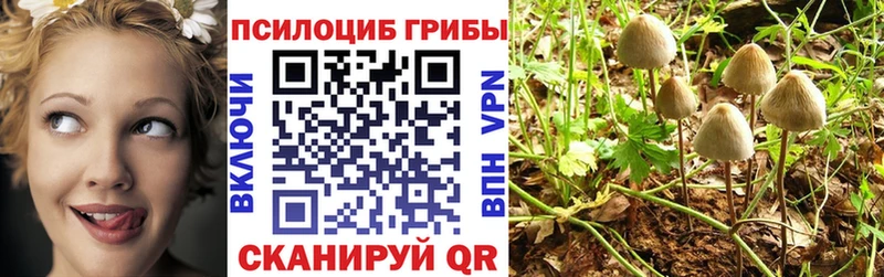 Галлюциногенные грибы Magic Shrooms  Омск 